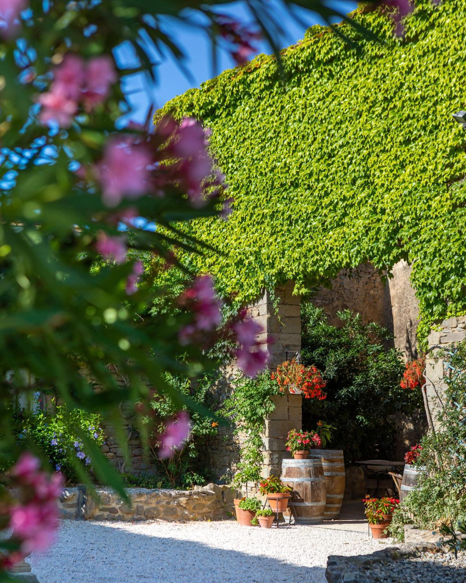 Domaine De Palats Guest House Laure-Minervois Ngoại thất bức ảnh