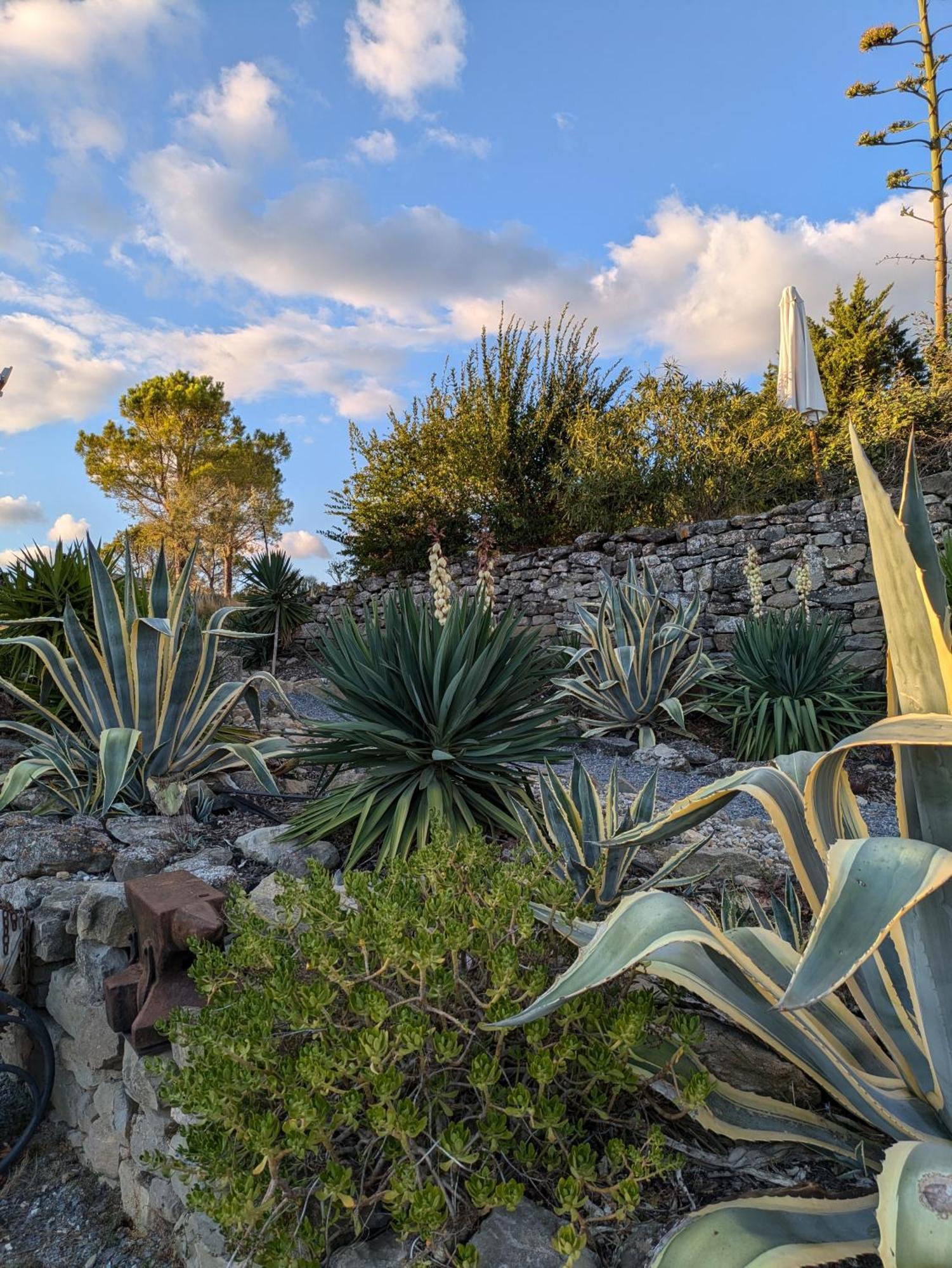 Domaine De Palats Guest House Laure-Minervois Ngoại thất bức ảnh