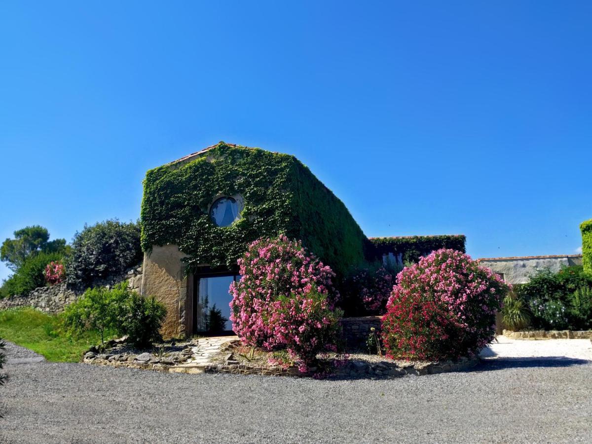 Domaine De Palats Guest House Laure-Minervois Ngoại thất bức ảnh